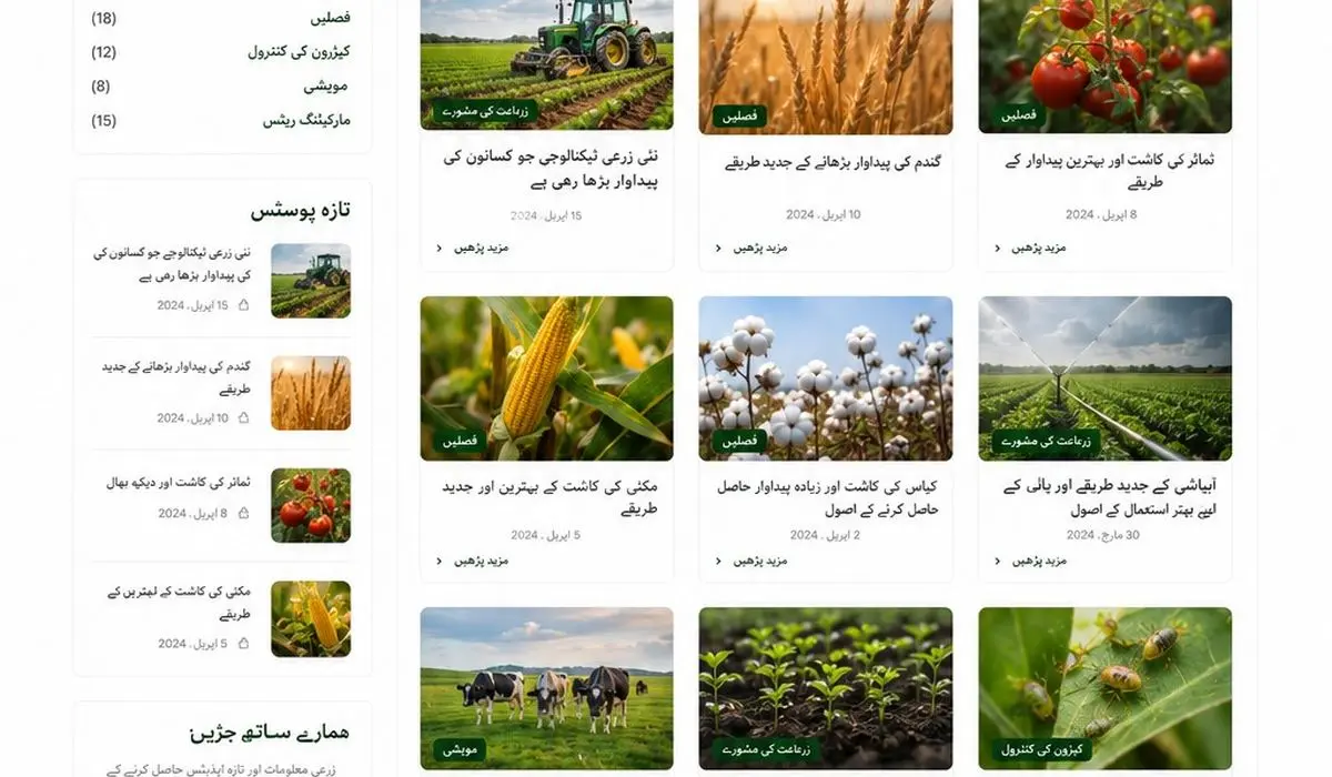 کپاس کا سفید مکھی حملہ