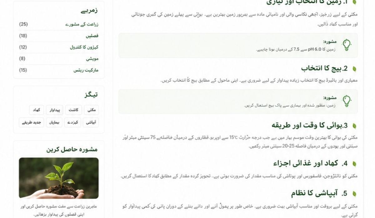 دھان کی نرسری ویڈیو