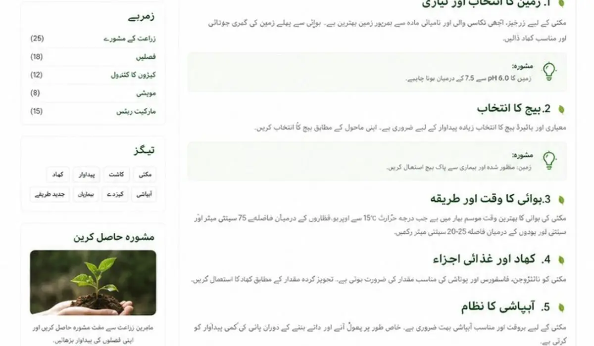 کپاس کو بیماریوں سے محفوظ رکھنے کا طریقہ
